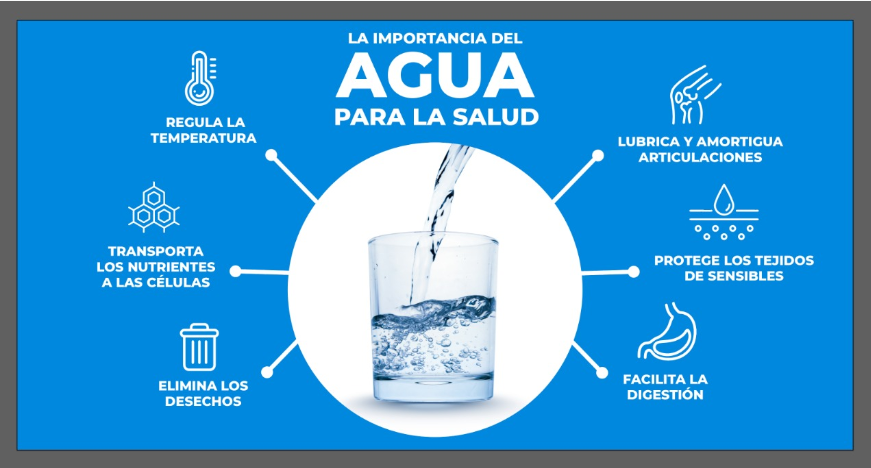 agua en la salud